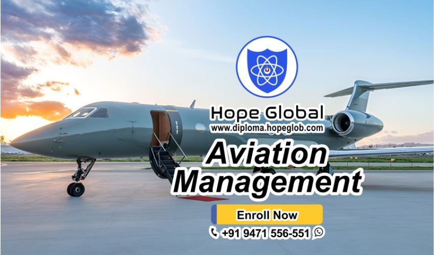 Aviation Management