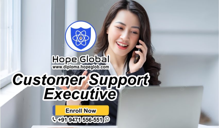 Customer Support Executive